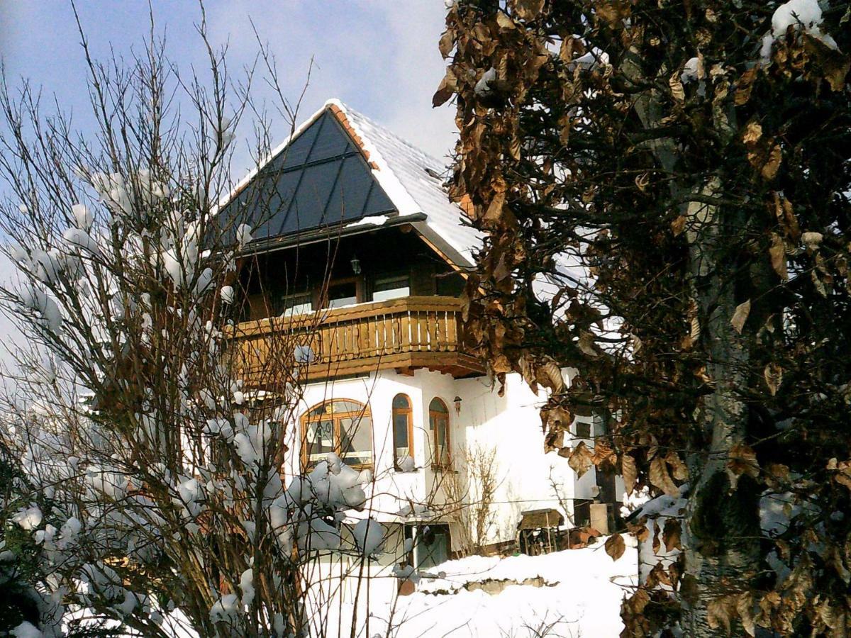 Ferienwohnung Haus Barbara Braunlingen ภายนอก รูปภาพ